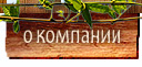 О компания